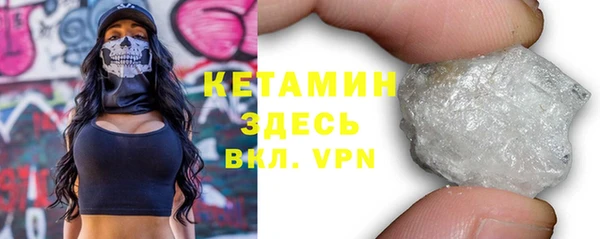 крисы Новодвинск
