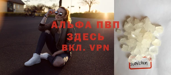 крисы Новодвинск