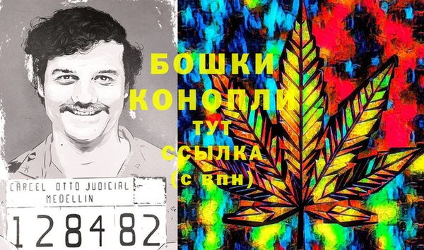 ПСИЛОЦИБИНОВЫЕ ГРИБЫ Новокубанск