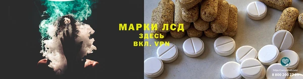 крисы Новодвинск