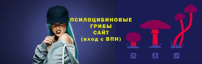 ПСИЛОЦИБИНОВЫЕ ГРИБЫ Новокубанск