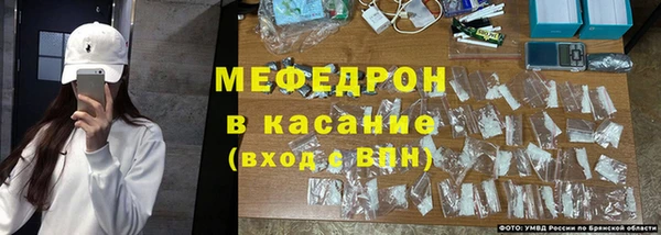 крисы Новодвинск