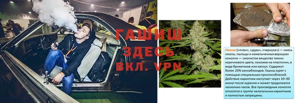 крисы Новодвинск