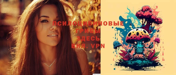 ПСИЛОЦИБИНОВЫЕ ГРИБЫ Новокубанск