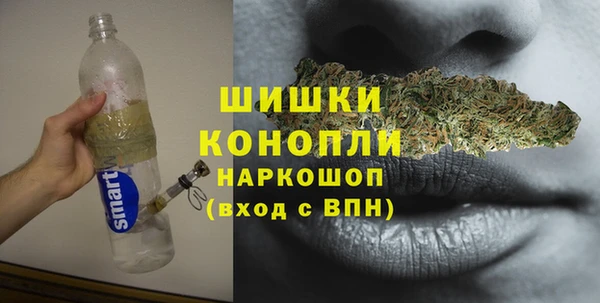 прущие грибы Алагир