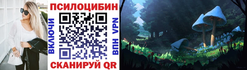 Галлюциногенные грибы мицелий  Шлиссельбург 